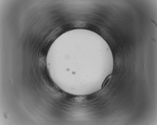 X0000102220172200808221253