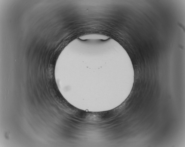 X0000102220174200808221253