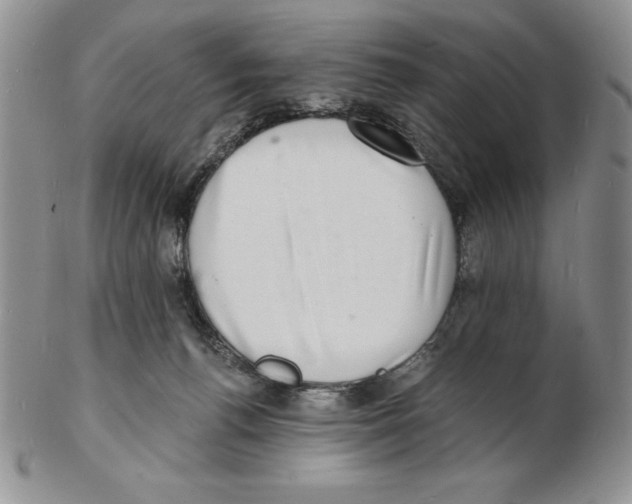 X0000102220176200808221254