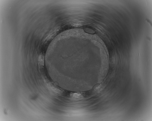 X0000102220180200808221254