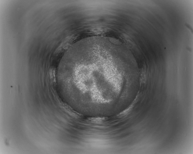 X0000102220182200808221254