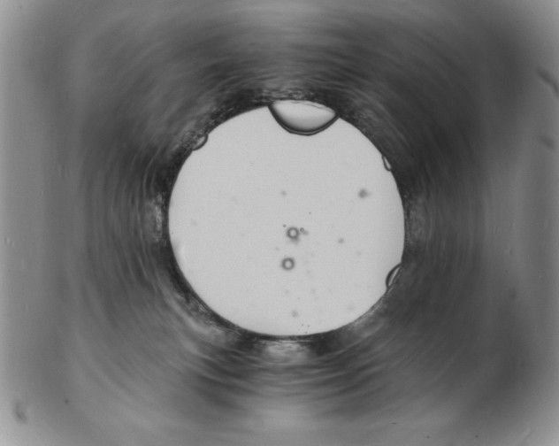 X0000102220183200808221254