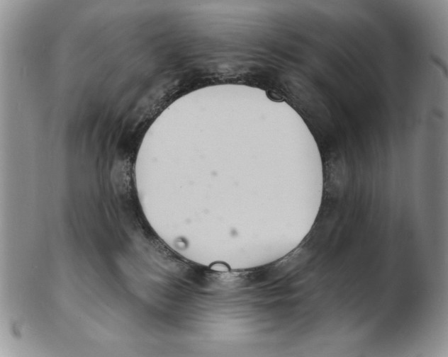 X0000102220184200808221254