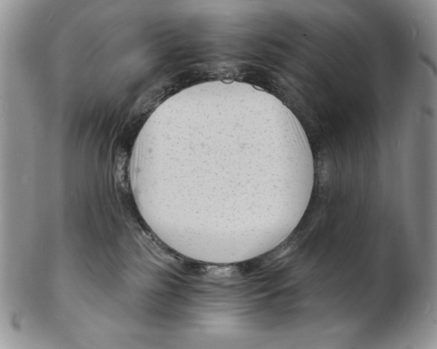 X0000102220185200808221254