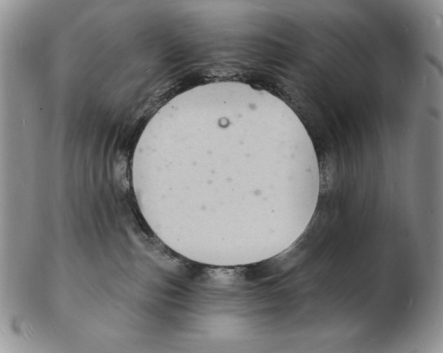 X0000102220187200808221254