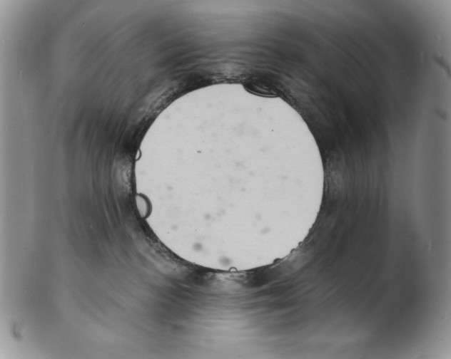 X0000102220188200808221254