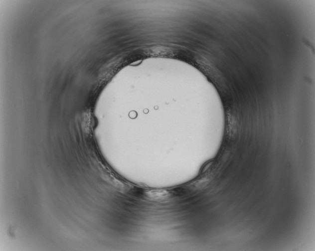 X0000102220189200808221254