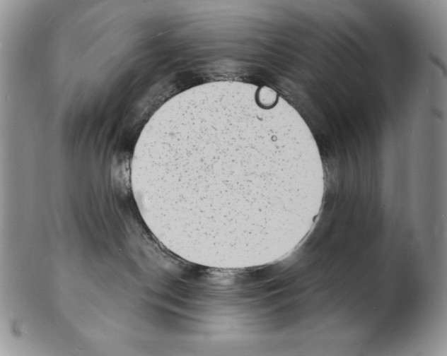 X0000102220190200808221254