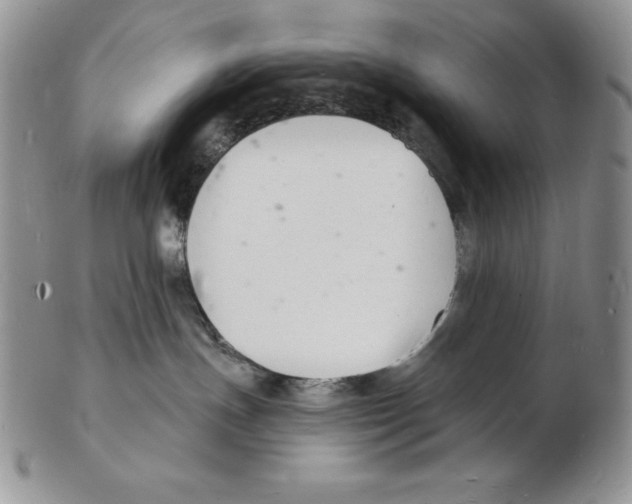 X0000102220191200808221254