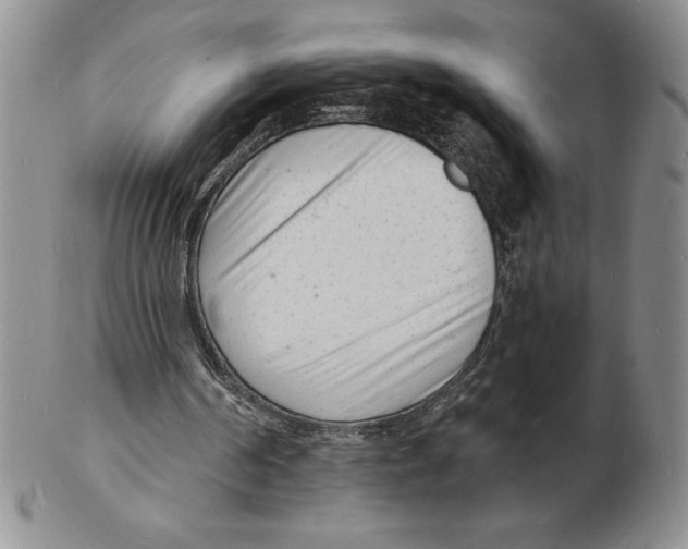 X0000102220194200808221253