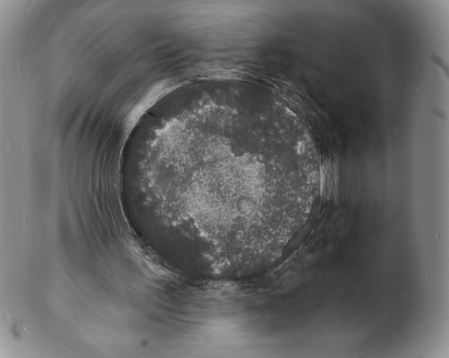 X0000102220195200808221253