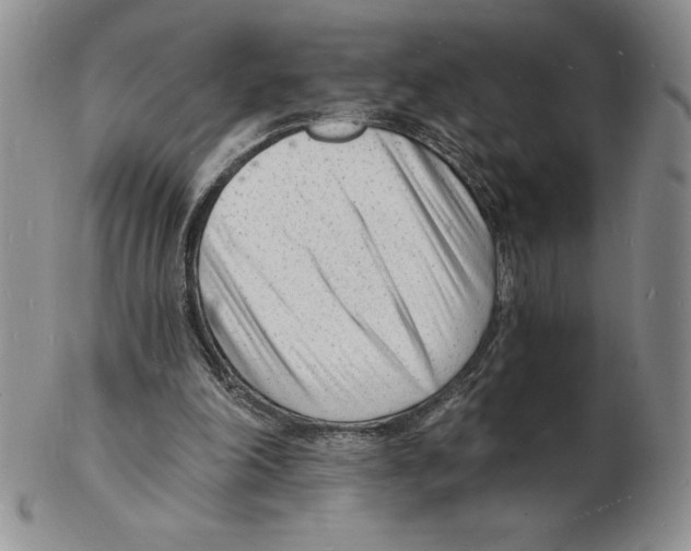 X0000102220198200808221253