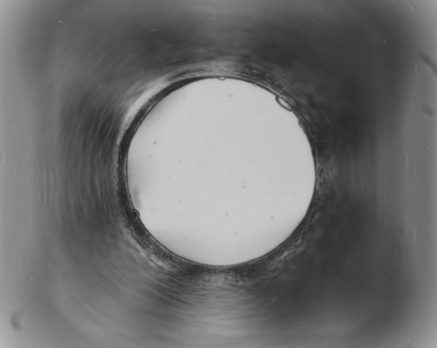 X0000102220200200808221253