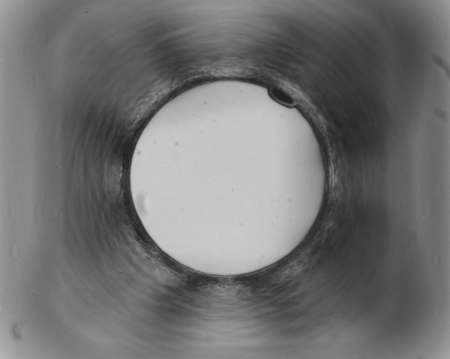 X0000102220201200808221253