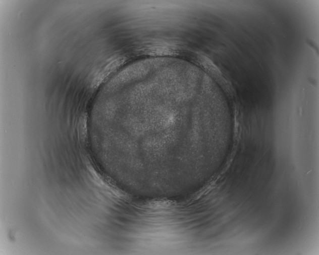 X0000102220202200808221253