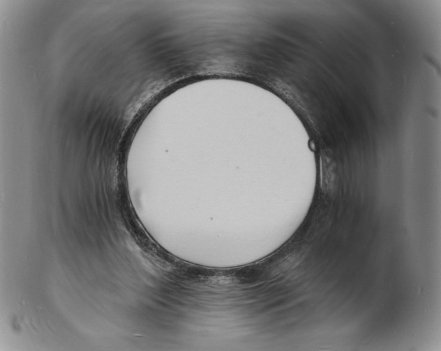 X0000102220204200808221253