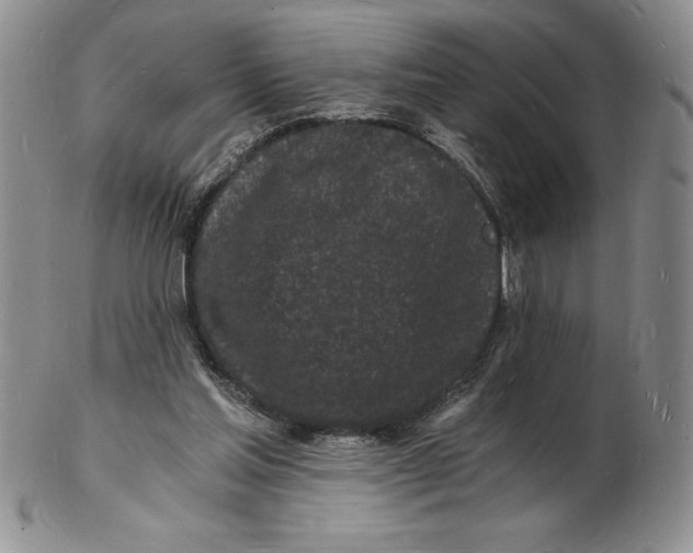 X0000102220205200808221253