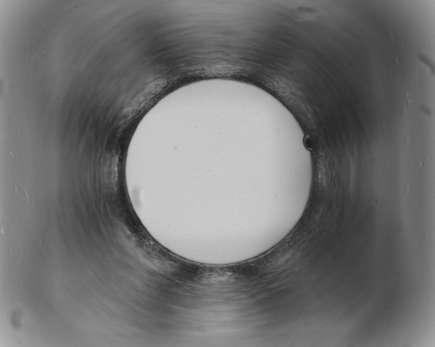 X0000102220206200808221253