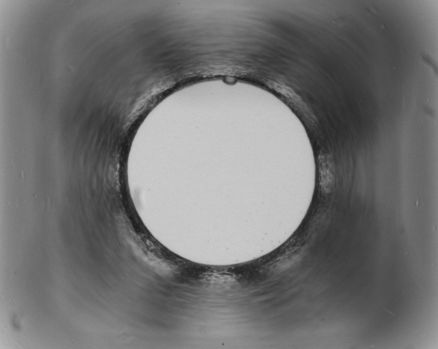 X0000102220207200808221253