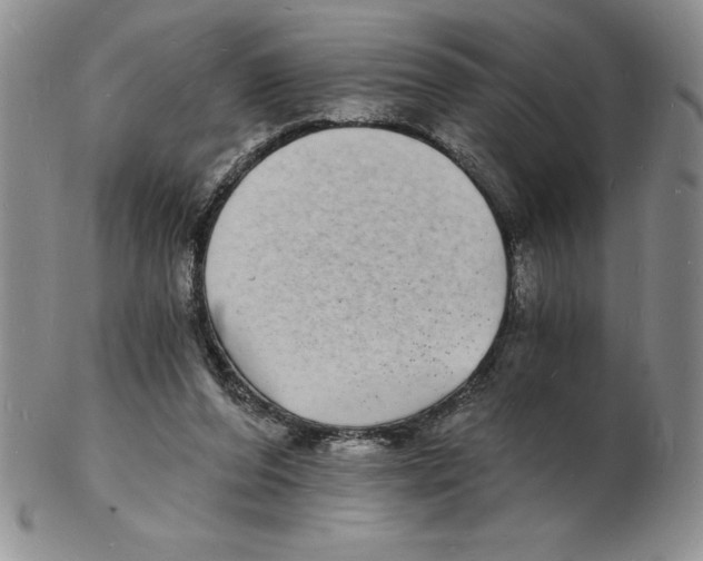 X0000102220208200808221253