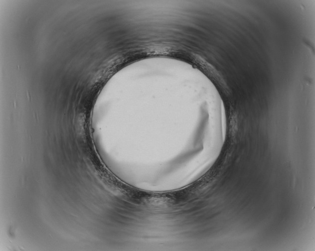 X0000102220209200808221253