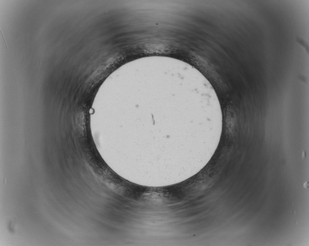 X0000102220211200808221253