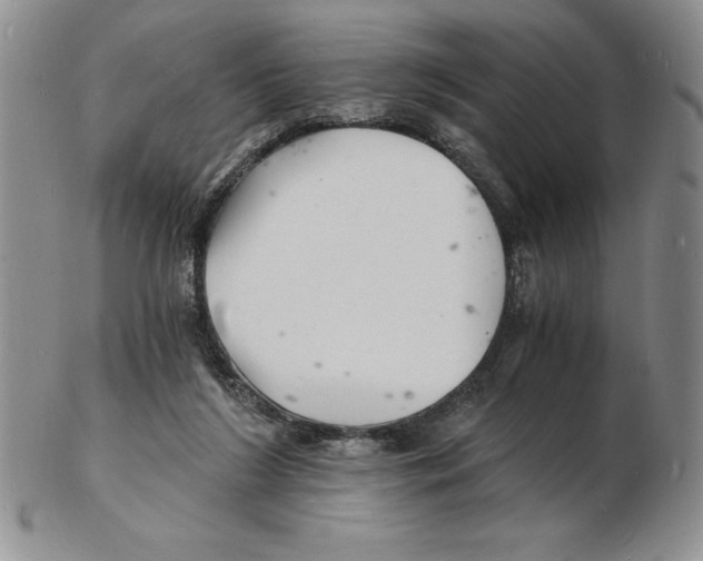 X0000102220212200808221253