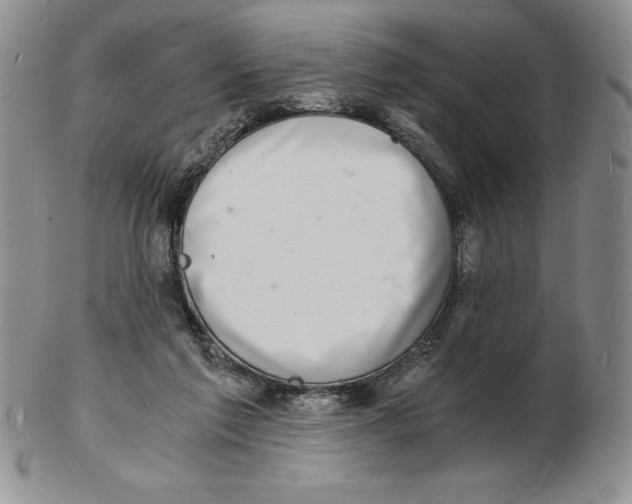 X0000102220213200808221253