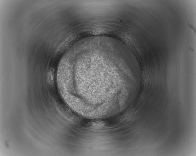 X0000102220214200808221253