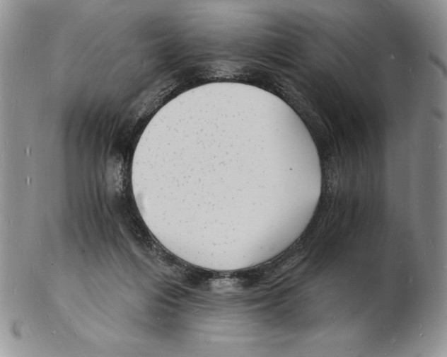 X0000102220216200808221253