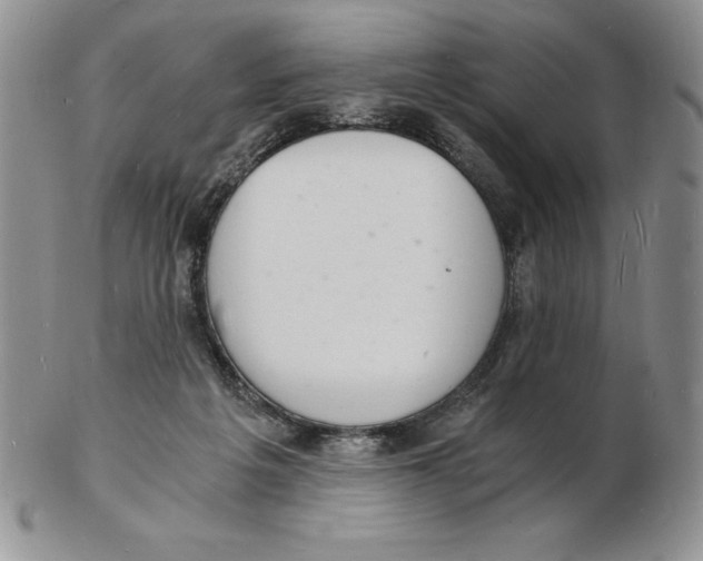 X0000102220217200808221253