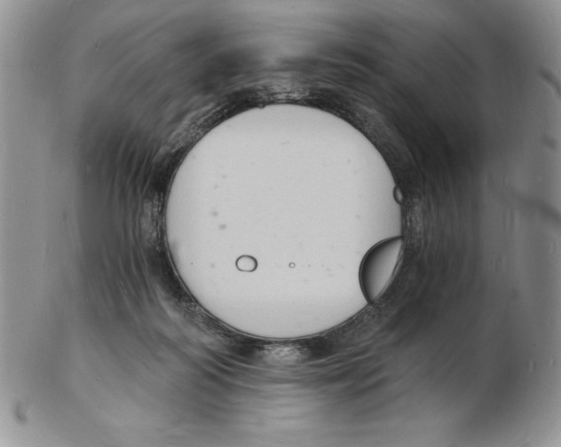 X0000102220218200808221253