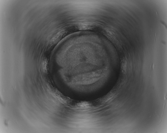 X0000102220219200808221253