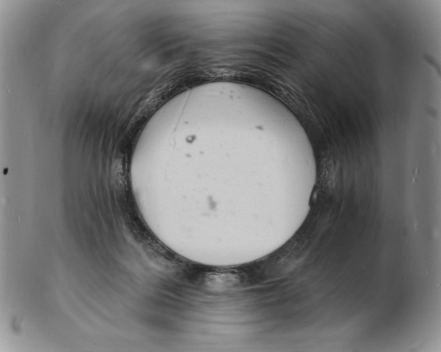 X0000102220220200808221253