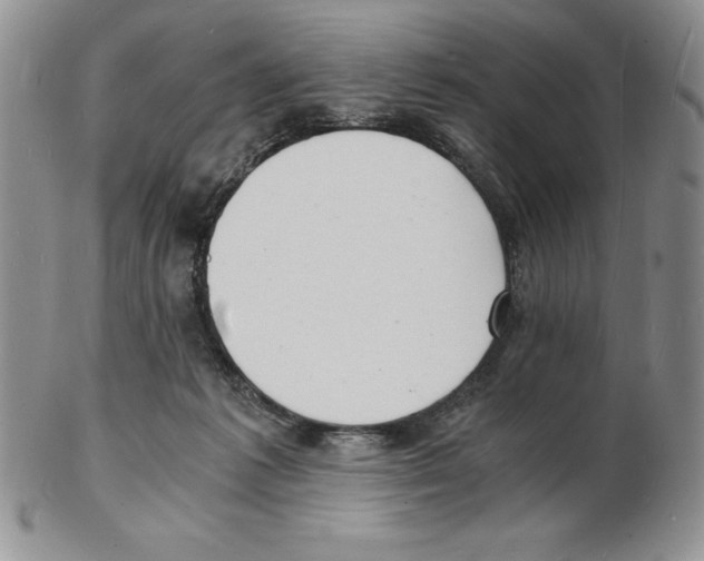 X0000102220221200808221253