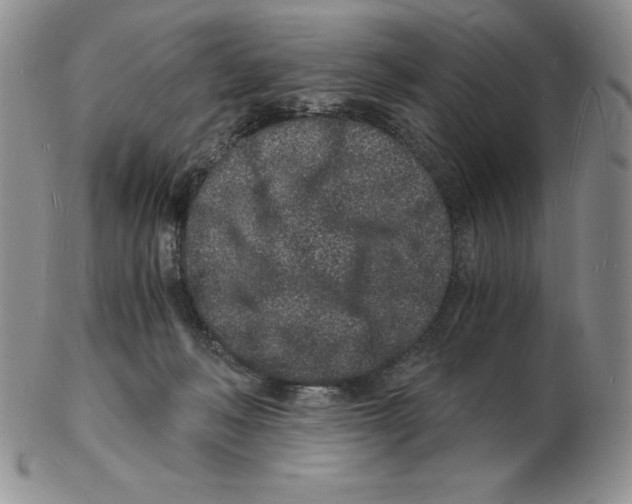 X0000102220222200808221253