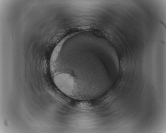 X0000102220223200808221253