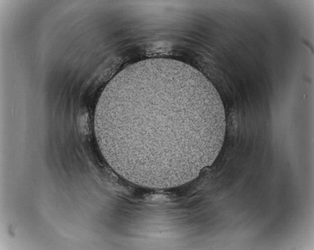 X0000102220224200808221253