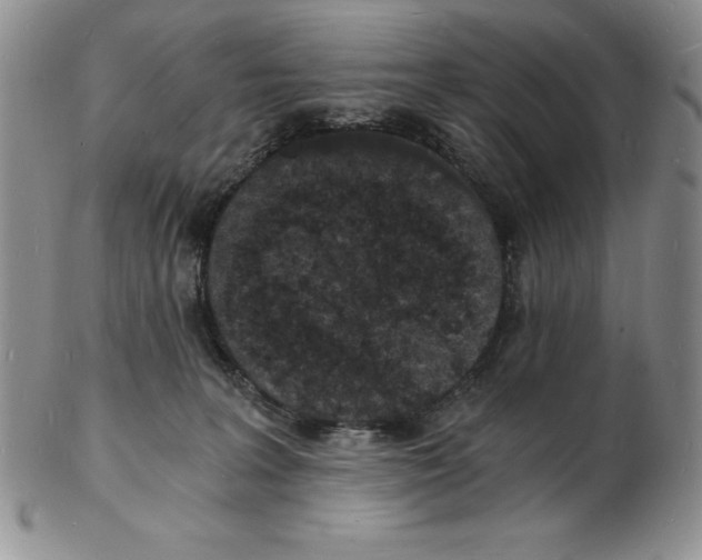 X0000102220227200808221253