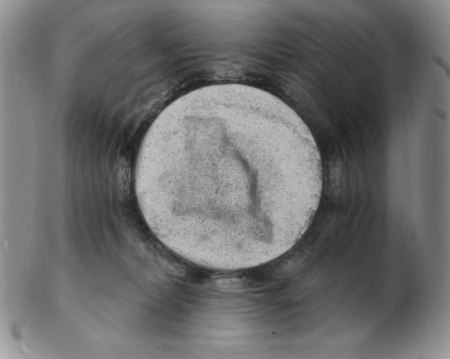 X0000102220228200808221253