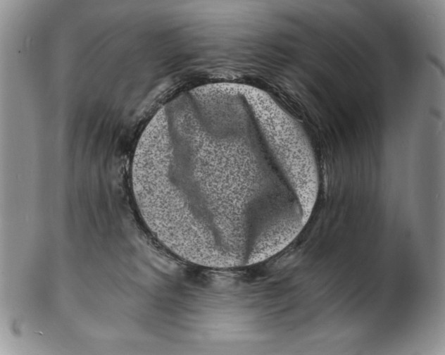 X0000102220229200808221253