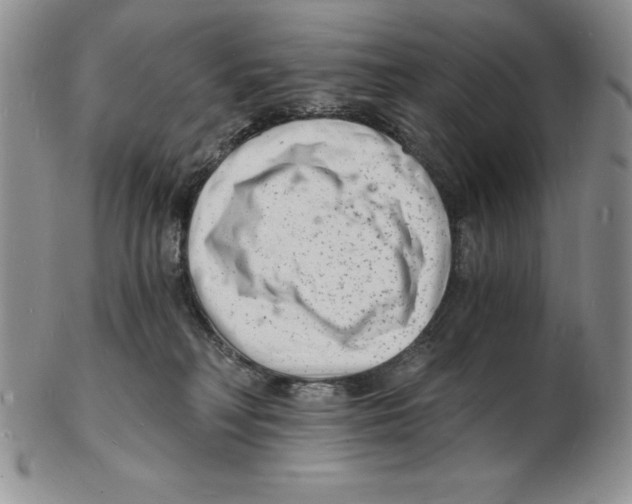 X0000102220230200808221253