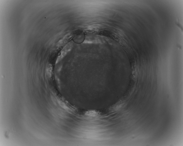 X0000102220231200808221253