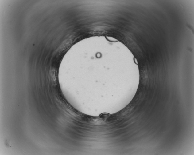 X0000102220232200808221253