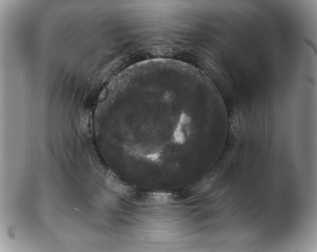 X0000102220233200808221252