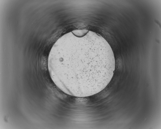 X0000102220234200808221252