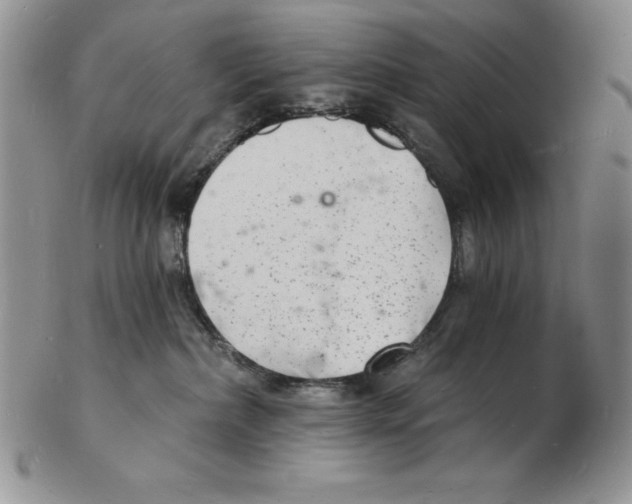 X0000102220236200808221252