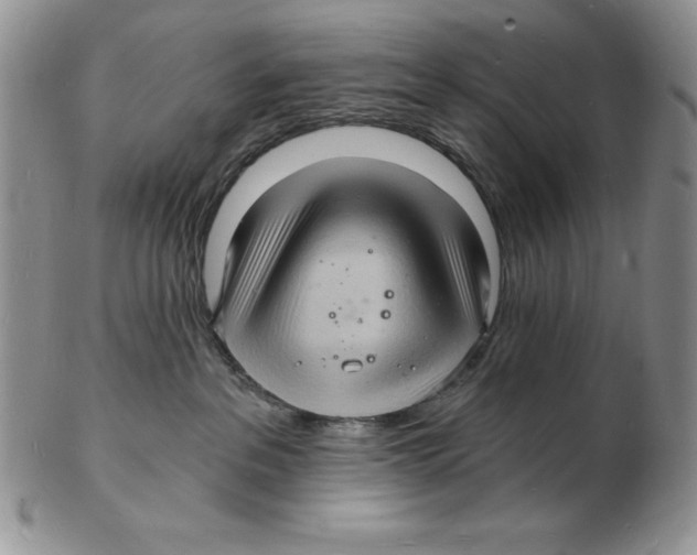 X0000102220237200808221252