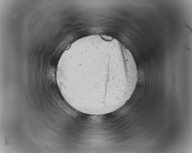 X0000102220238200808221252