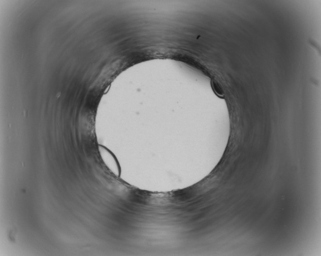 X0000102220240200808221252